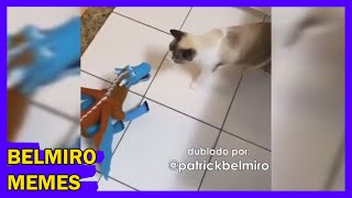 Belmiro Memes Dublagens de animais engraçados  Episódio 105 [upl. by Borer]