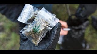 Kiffen in Berlin Im Görlitzer Park ist Cannabis wieder legal [upl. by Schmidt]