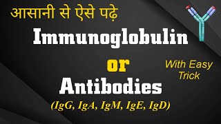 Immunoglobulin in hindi  Structure amp Function  IgG IgA IgM IgE IgD  5types of antibodies lokesh [upl. by Malinin934]