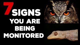 7 signs you are being monitored [upl. by Aramahs]