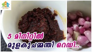 ചോറുണ്ണാൻ 5 മിനുട്ടിൽ മുളകുചമ്മന്തിEasy Side Dish for Rice5 minute recipeMalayalam [upl. by Carrel]