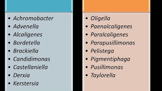 Dominio Bacteria Phylum Proteobacteria 13  Clase Betaproteobacteria  Familia Alcaligenaceae [upl. by Okuy153]