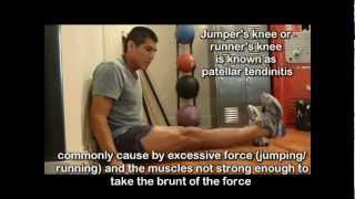 Knee Pain Exercises 7  Jumpers Knee Exercises for Knee Pain [upl. by Nereil]