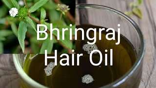 Bhringraj Hair Oil கரிசலாங்கண்ணி எண்ணெய்Karisalankanni Hair Oil For Hair Growth in Tamil [upl. by Tressia]