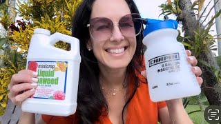 Fertilizing Orchids New Products Let’s Bring on the BLOOMS [upl. by Olds223]