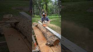 Rip Cutting a Wild Black Cherry Log Epic Grains and Color diy woodworking [upl. by Drofdeb495]