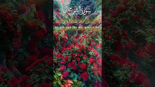 surah Alam Nashrah Beautiful Recitaition quranrecitation shortsfeed quran sufitilawat [upl. by North973]