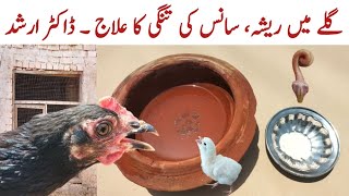 Chicken Wheezing  Helping Chickens to get rid of Excessive Mucus in Throat  Dr ARSHAD [upl. by Amandi940]