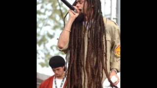 Damian Marley welcome to jamrock [upl. by Htiaf598]