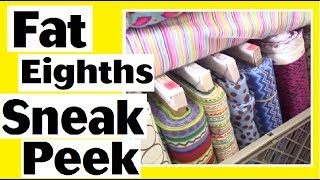 Mardens Flannel Sneak Peek Peanut Gallery Quilts  Snippets of My Daily Life Vlog [upl. by Ailam]