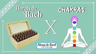 AULA INÉDITA  Florais de Bach e Chakras [upl. by Oaoj]