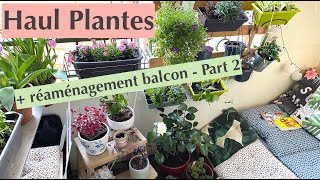 Haul Plantes  Réaménagement du balcon  Part 2 [upl. by Ennoitna953]