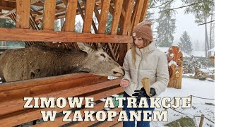 ZAKOPANE ZIMĄ  jakie atrakcje zobaczyć [upl. by Ranice]