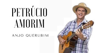 Anjo Querubim  Petrúcio Amorim [upl. by Ynattirb]