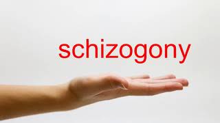 How to Pronounce schizogony  American English [upl. by Dareg71]