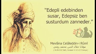 Mevlana sözleri 🌹 İnsan quotSabırquot ile İnsandır Sabır ise Sırdır Ardır Sınavdır mevlana [upl. by Nohsauq]