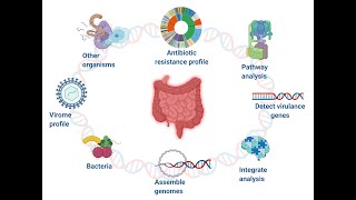 Microbiota vs microbiome [upl. by Joni]