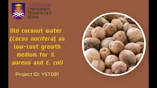 Old coconut water Cocos nucifera as lowcost growth medium for S aureus and E coli [upl. by Eyt]