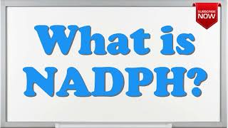 What is the full form of NADPH [upl. by Fira]