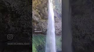 South Falls Oregon usa travel shorts malayalam kerala indian love movie [upl. by Nalyk332]