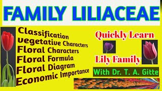 Family Liliaceae [upl. by Ahsimak]