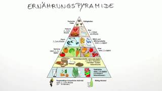 Die Ernährungspyramide  Biologie  Humanbiologie [upl. by Nilesoy]