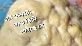 ঘৰৰ বাৰিৰ আটলাচ আজি খালো Custard appleAssamese vlog [upl. by Wrigley498]