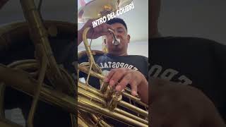 Sacando el intro del colibrí tuba sousaphone banda [upl. by Doretta850]