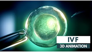 How IVF works  3D Animation [upl. by Shaeffer]