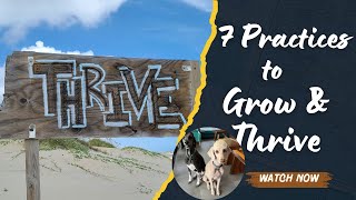 7 Practices to Grow and Thrive Through Change HD 720p [upl. by Tedric812]