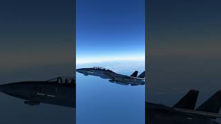 F14 Tomcat The Legendary Fighter Jet in Action  Iconic Aircraft Footage aviation shorts [upl. by Enellek]