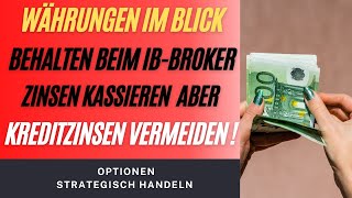 Währungen bei IB  Guthaben amp Kreditzinsen  Wie geht das [upl. by Paddie767]