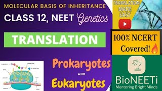 Translation Molecular Basis Of Inheritance Biology Class 12 CBSE NEET 2024 [upl. by Abramson297]