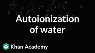 Autoionization of water  Water acids and bases  Biology  Khan Academy [upl. by Vastha]