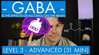 GABA  The Inhibitory Neurotransmitter  Alcohol in the Brain Level 3  Advanced [upl. by Mayyahk]