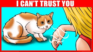 How Cats Can Sense a Bad Person And Other Cat Incredible Abilities Explained [upl. by Specht839]