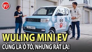 Đánh giá Wuling HongGuang Mini EV  Ưu amp nhược bộc lộ sau 3 tháng sử dụng  TIPCAR TV [upl. by Neleag710]