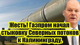 Срочно Германия до последнего не верила Газпром начал стыковку «Северных потоков» к Калининграду [upl. by Ataymik]