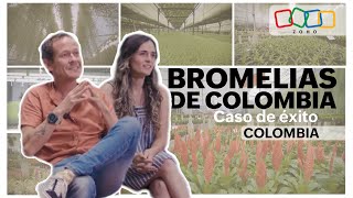 Bromelias de Colombia  Caso de éxito Zoho [upl. by Tyrus938]