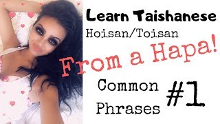 Common TAISHANESE Phrases  Learn HoisanToisan Chinese [upl. by Anjanette]