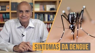 Sintomas da dengue  Coluna 52 [upl. by Uht]