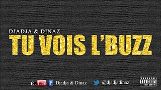 Djadja amp Dinaz  Tu vois lbuzz Audio Officiel [upl. by Dahaf759]