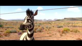 Was ein Zebra alles kann  Animanimals  Trickfilm  Ich kenne ein Tier  SWR Kindernetz [upl. by Lear]