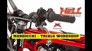 Triumph Tiger 800 XC Suspension Upgrade Test [upl. by Eissolf]