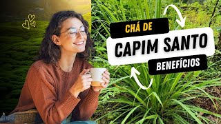 Capim Santo  Quais São os Benefícios do Chá [upl. by Anatniuq]