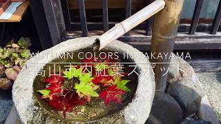 高山市内紅葉スポット Autumn Colors in Takayama [upl. by Jephthah733]