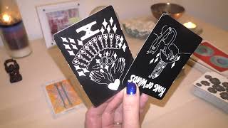 ZWILLINGE Woche 26 Februar 3 März 2024 ☯️💫Tarot Reading [upl. by Hoffarth]