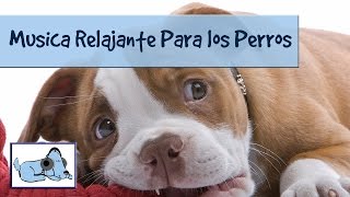 Relajacion total para perros mira como funciona ponlo a prueba y disfrutalo [upl. by Rramo]