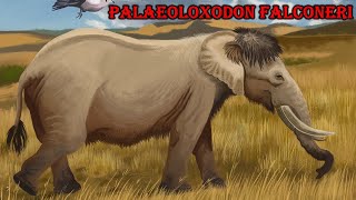 palaeoloxodon falconeri [upl. by Yntirb114]