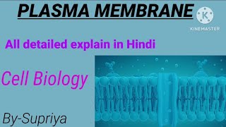 Plasma membrane Structure and function  Cell Biology  life science [upl. by Friedlander]